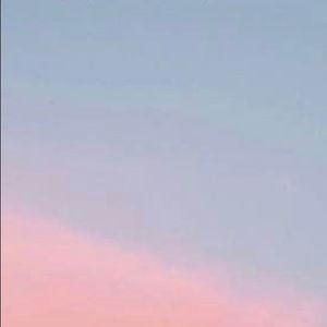 Meet your Posher, Priscilla